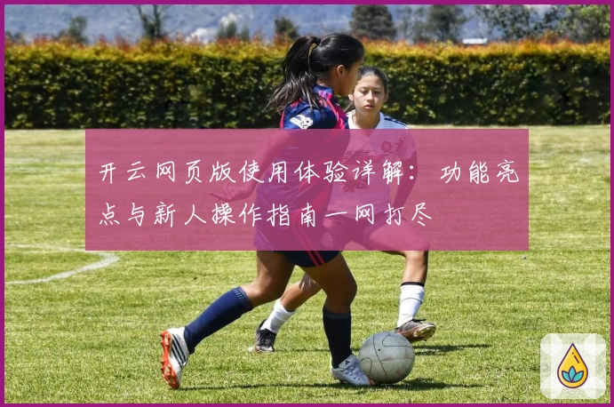 开云网页版使用体验详解：功能亮点与新人操作指南一网打尽