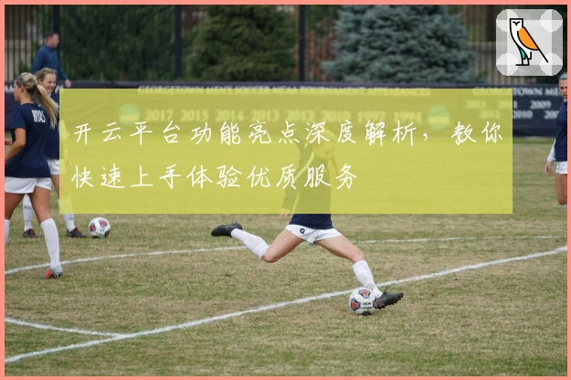 开云平台功能亮点深度解析，教你快速上手体验优质服务